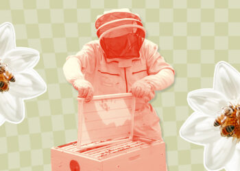 Bee Products Promise a Powerful Immune System Boost–We Asked Experts What You Need to Know