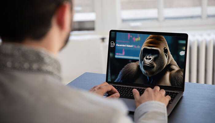 Harambe Token: Insights from Marketing Expert Josh Buck