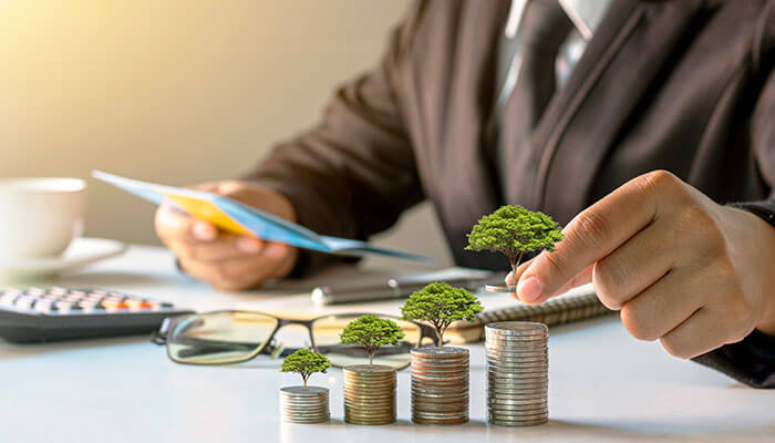 Portfolio Management Services (PMS) vs Mutual Funds – Which is Right for You?