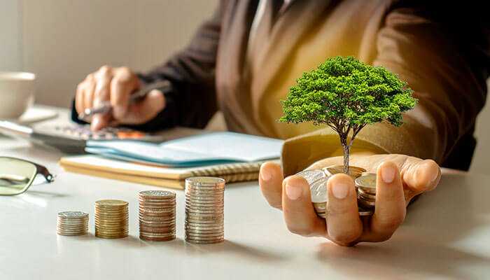 Angel Investors vs. Venture Capitalists: Which is Right for Your Startup? Angel Investors vs. Venture Capitalists: Which is Right for Your Startup?