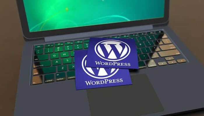 Finding the Perfect Fit: Top WordPress Hosting Options for Every Need Finding the Perfect Fit: Top WordPress Hosting Options for Every Need