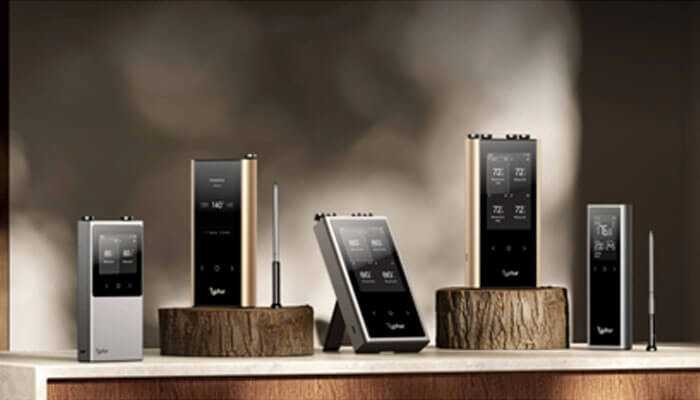 Business Trends: The Rise Of Wireless Meat Thermometers