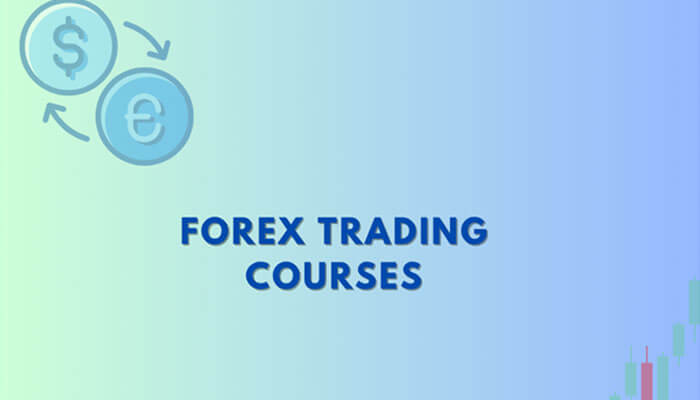 Forex trading courses