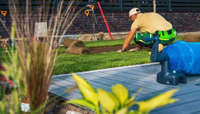 Landscape design and installation