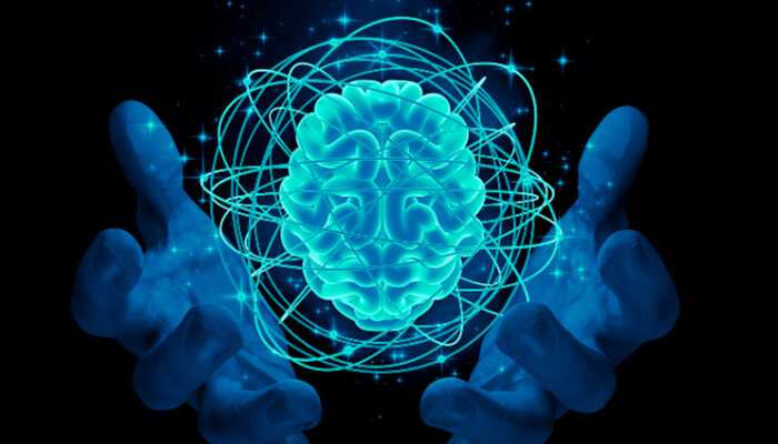 What Is The Highest IQ Ever Recorded In The World? List Of Top 20