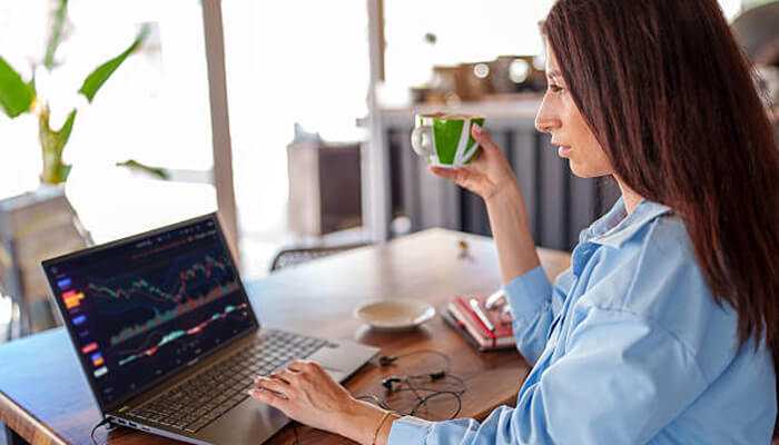 Financial Planning for Digital Nomads with Irregular Income Streams Financial Planning for Digital Nomads with Irregular Income Streams