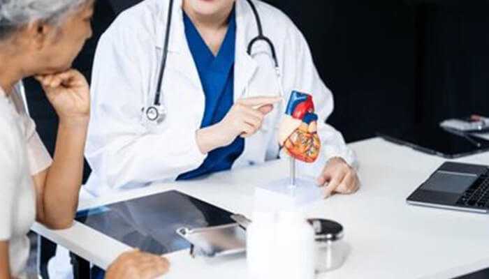 The following is a detailed classification