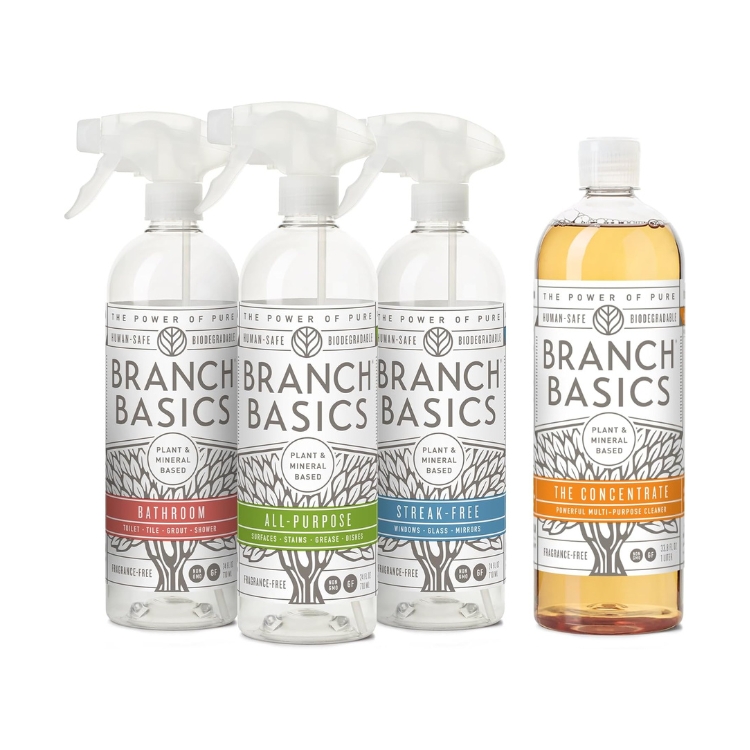 Cleaning Essentials Kit