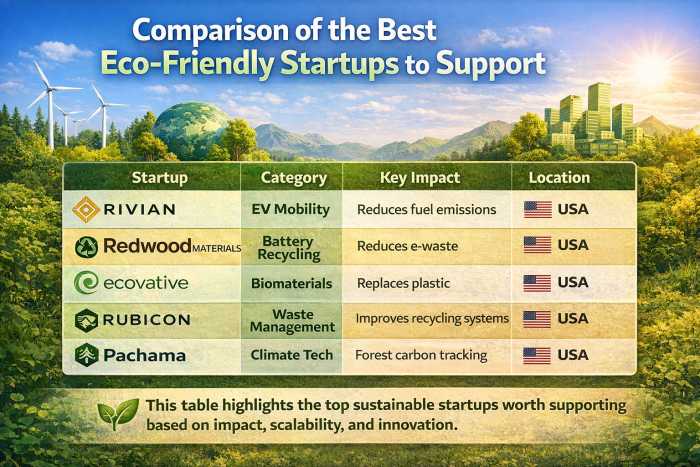 Best Eco-Friendly Startups to Support in 2026