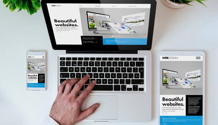 WordPress Development Company: Custom Websites in 2026