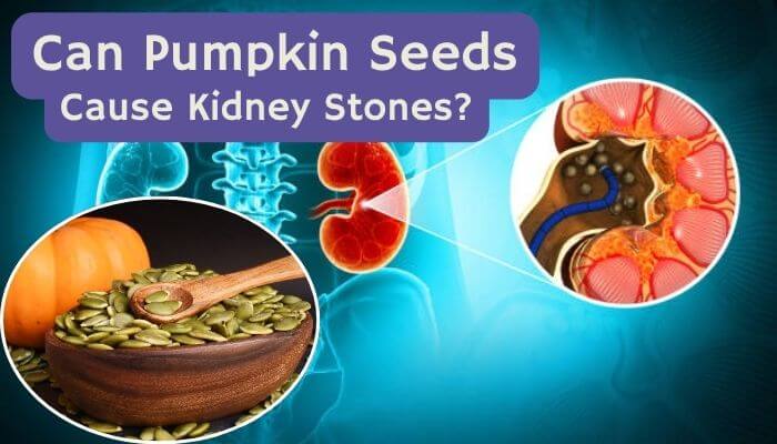Disadvantages of eating pumpkin seeds - tycoonstory | tycoonstory media Disadvantages of eating pumpkin seeds, showing pumpkin seeds beside kidney illustrations and a kidney stone diagram.