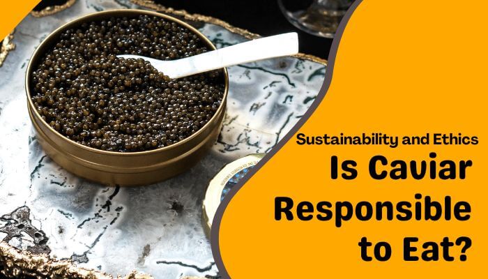 Why Is Caviar So Expensive? The Real Reasons Behind the Price Why Is Caviar So Expensive? The Real Reasons Behind the Price